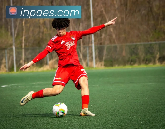 平台展示图